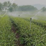 Bomba Periférica 1/2Hp 18m-30lpm