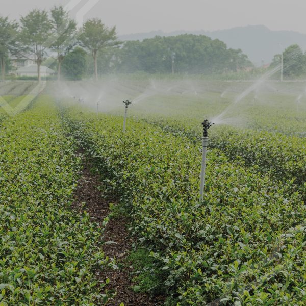 Bomba Periférica 1/2Hp 18m-30lpm