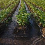 Bomba Autocebante 1.3 HP Motor a gasolina