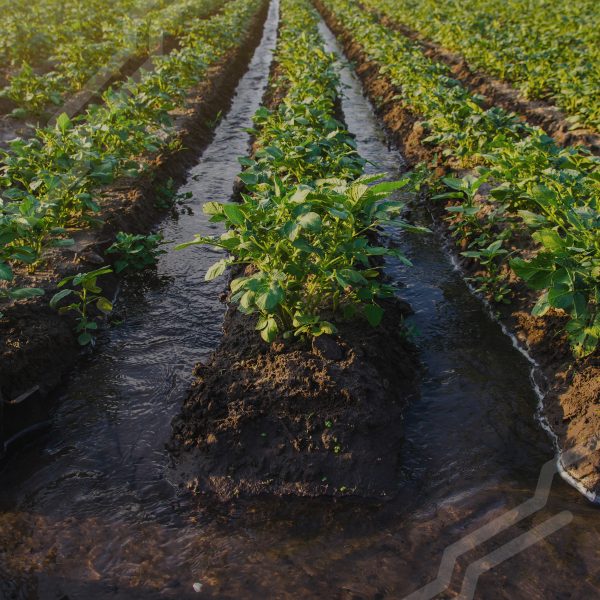 Bomba Autocebante 1.3 HP Motor a gasolina