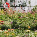 Manguera para Jardín 25m SUPER